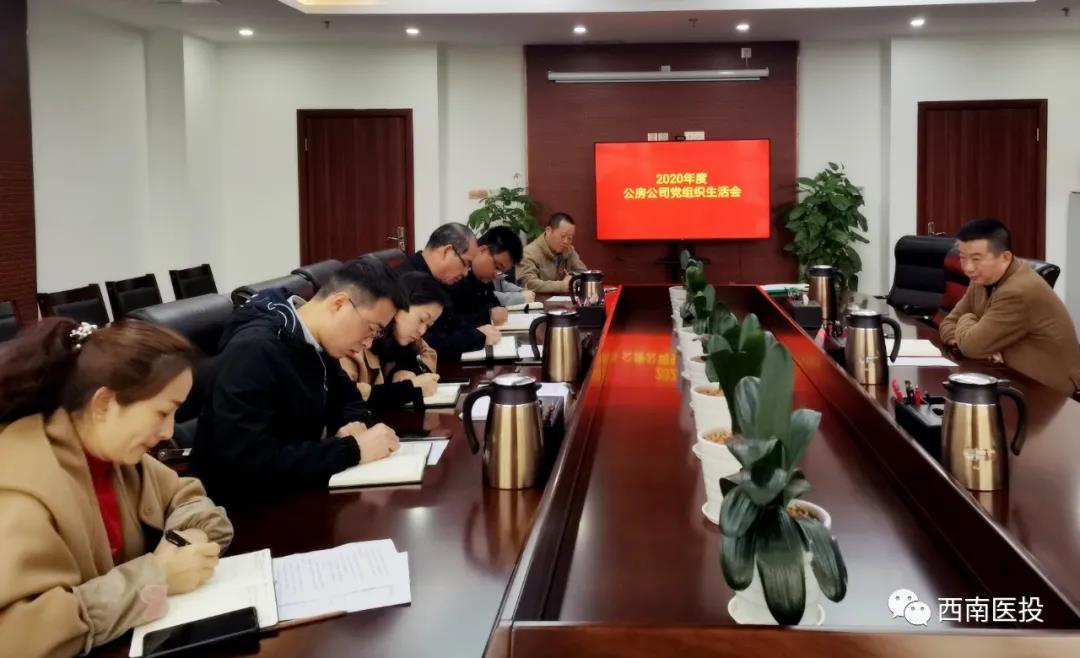 西南醫(yī)投集團各基層黨支部召開2020年度組織生活會、開展民主評議黨員工作